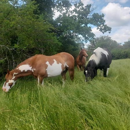Gites Les Ecuries Saserang Mouilleron Zewnętrze zdjęcie
