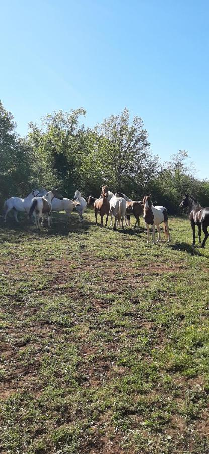 Gites Les Ecuries Saserang Mouilleron Zewnętrze zdjęcie